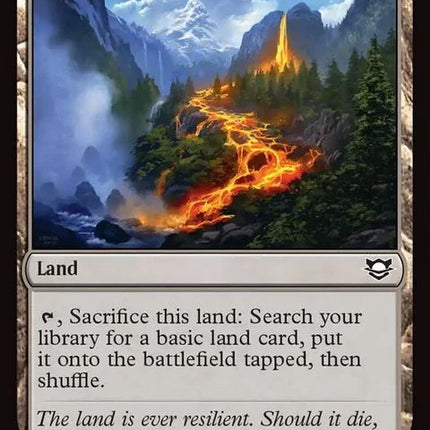 158-evolvingwilds