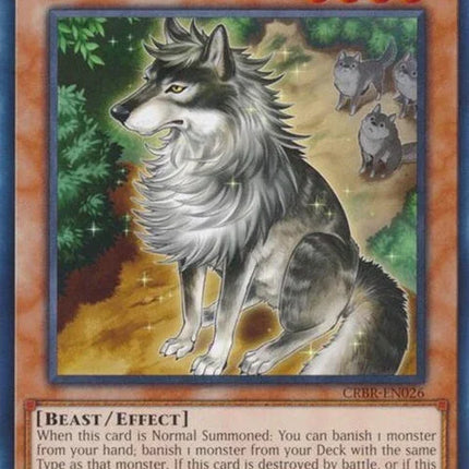 crbr-en026-alooflupine