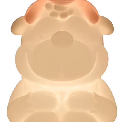 Youtooz - Banjo-Kazooie - Banjo-Kazooie Night Light #7