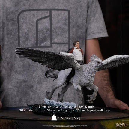 Iron Studios - Harry Potter - Harry Potter & Buckbeak - Deluxe Art Scale Statue 1/10 - The Card Vault