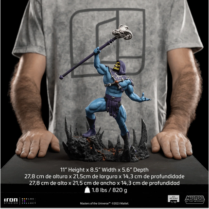 Iron Studios - Masters of the Universe - Skeletor BDS Art Scale Statue 1/10 - The Card Vault