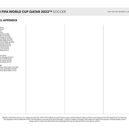 Panini - 2022 FIFA World Cup Prizm Football (Soccer) - Hobby Box (12 Packs) - The Card Vault