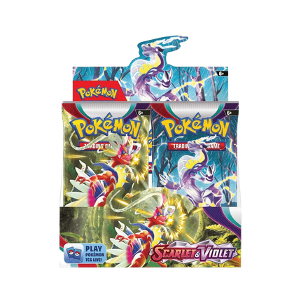 Pokemon TCG - Scarlet & Violet - Base Set - Display Case (6x Booster Boxes) - The Card Vault
