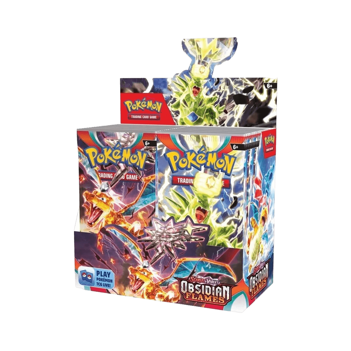 Acrylic Display for Pokemon TCG EEVEE EVOLUTIONS Premium Collection Box