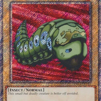 ra04-en111-petitmothplatinumsecretrare