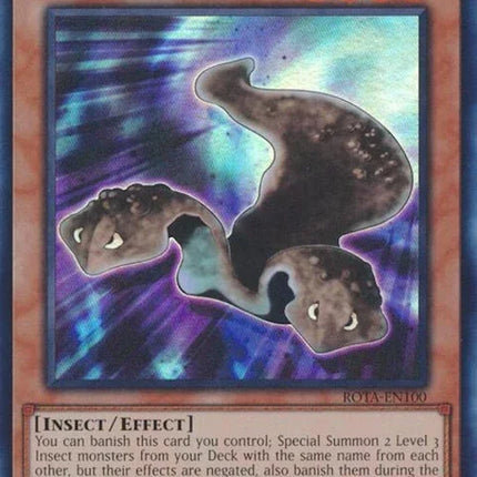 rota-en100-splittingplanarian