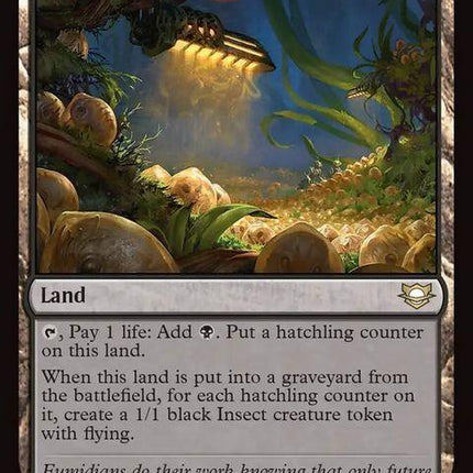 20-eumidianhatchery