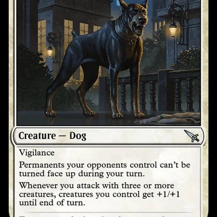 20-karlovwatchdog