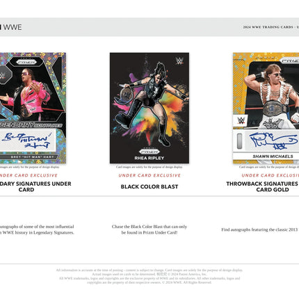 Panini - 2024 Prizm WWE Wrestling Under Card - Hobby Box