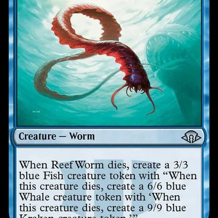 271-reefworm