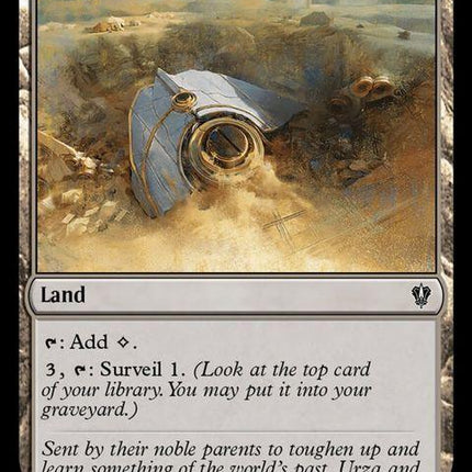 308-tocasiasdigsite