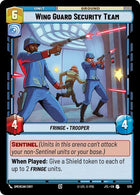 570-wingguardsecurityteam-a