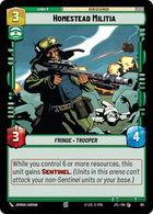 611-homesteadmilitia-a