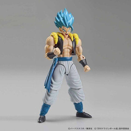 Bandai - Figure-rise Standard - Dragon Ball Super: Broly - Super Saiyan God Super Saiyan Gogeta - official view 5