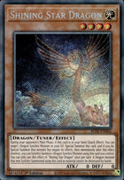 bltr-en002-shiningstardragon