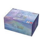 Gundam Card Game - Freedom Ascension - Deck Built Box (SC01)