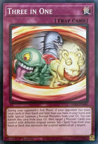 info-en080-threeinone