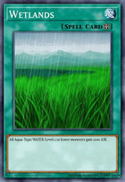 lodt-en054-wetlands