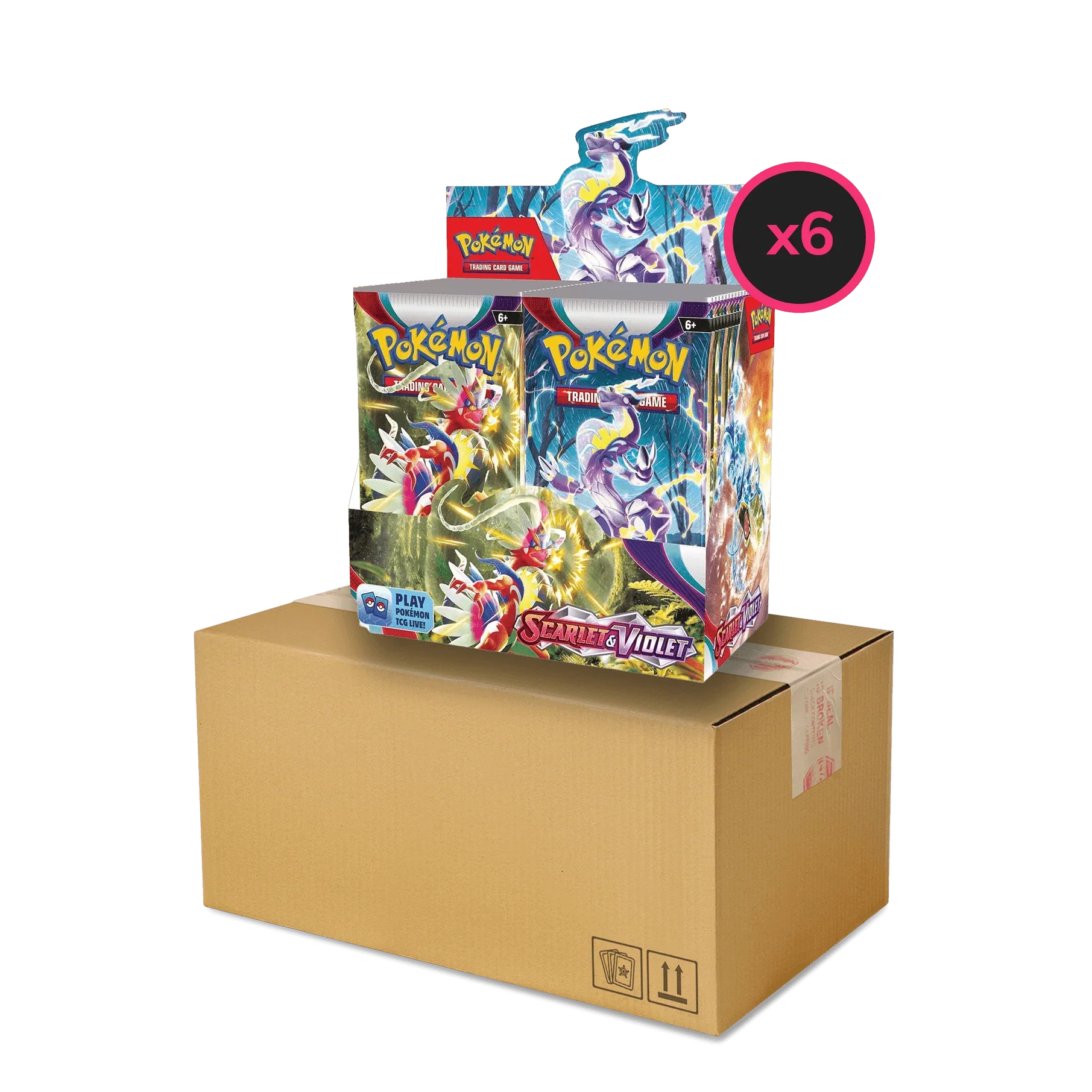 Pokemon TCG Scarlet & Violet: Base Set - Display Case - 6x Booster Box ...