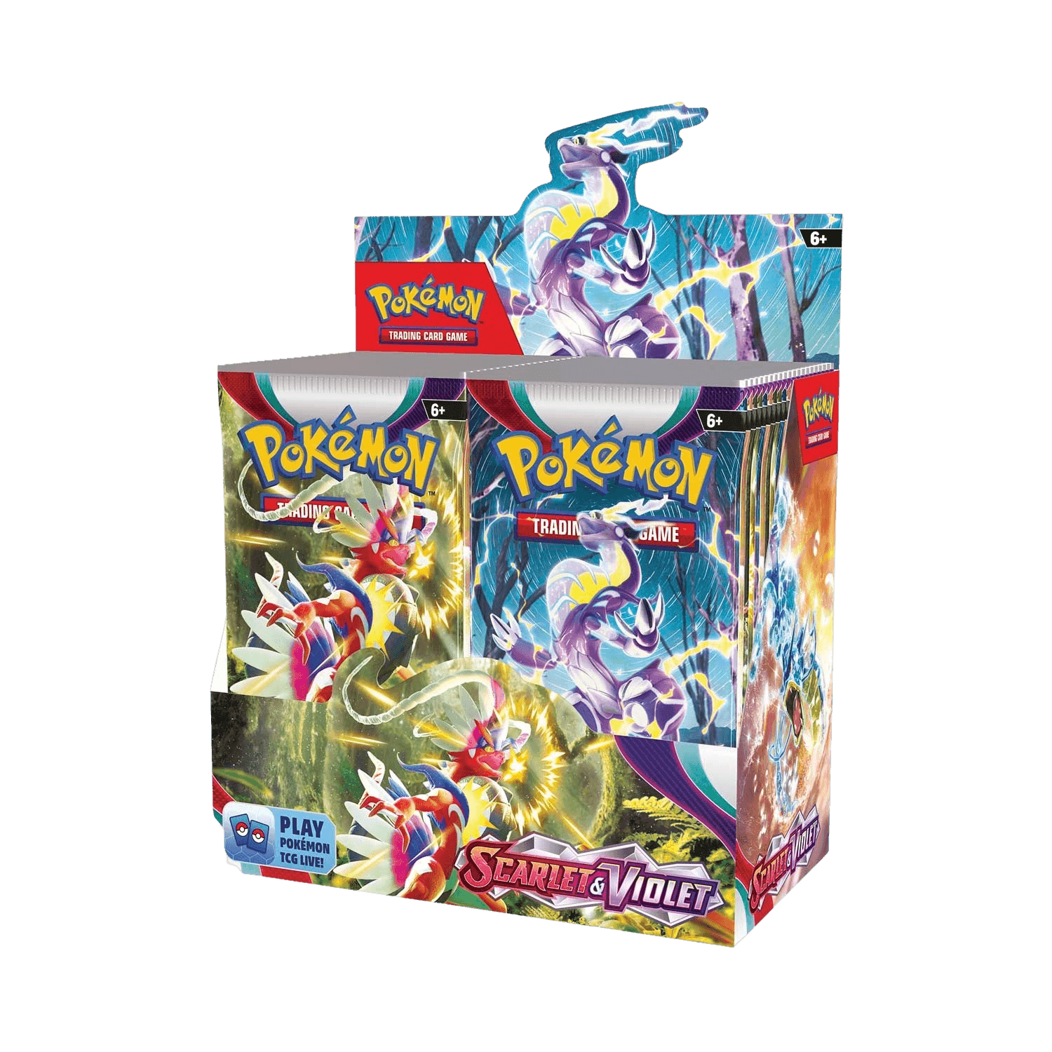 Pokemon TCG - Scarlet & Violet - Base Set - Display Case (6x Booster Boxes) - The Card Vault