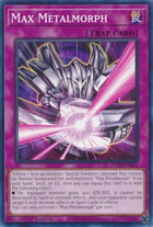 rota-en071-maxmetalmorph