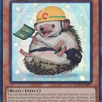 rota-en097-rescuehedgehog