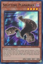 rota-en100-splittingplanarian